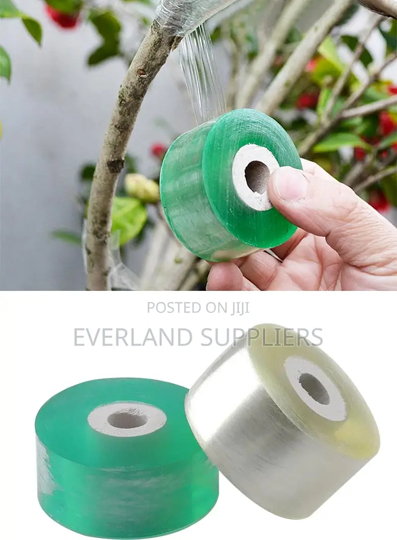 Graft Tape