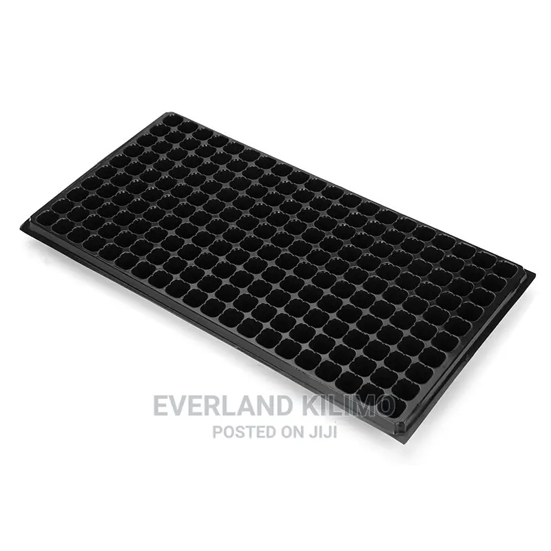 Seedling Trays- 72,128 and 200 Holes