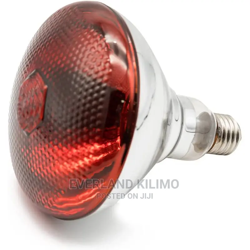 Infrared Bulb for Chicken Brooding