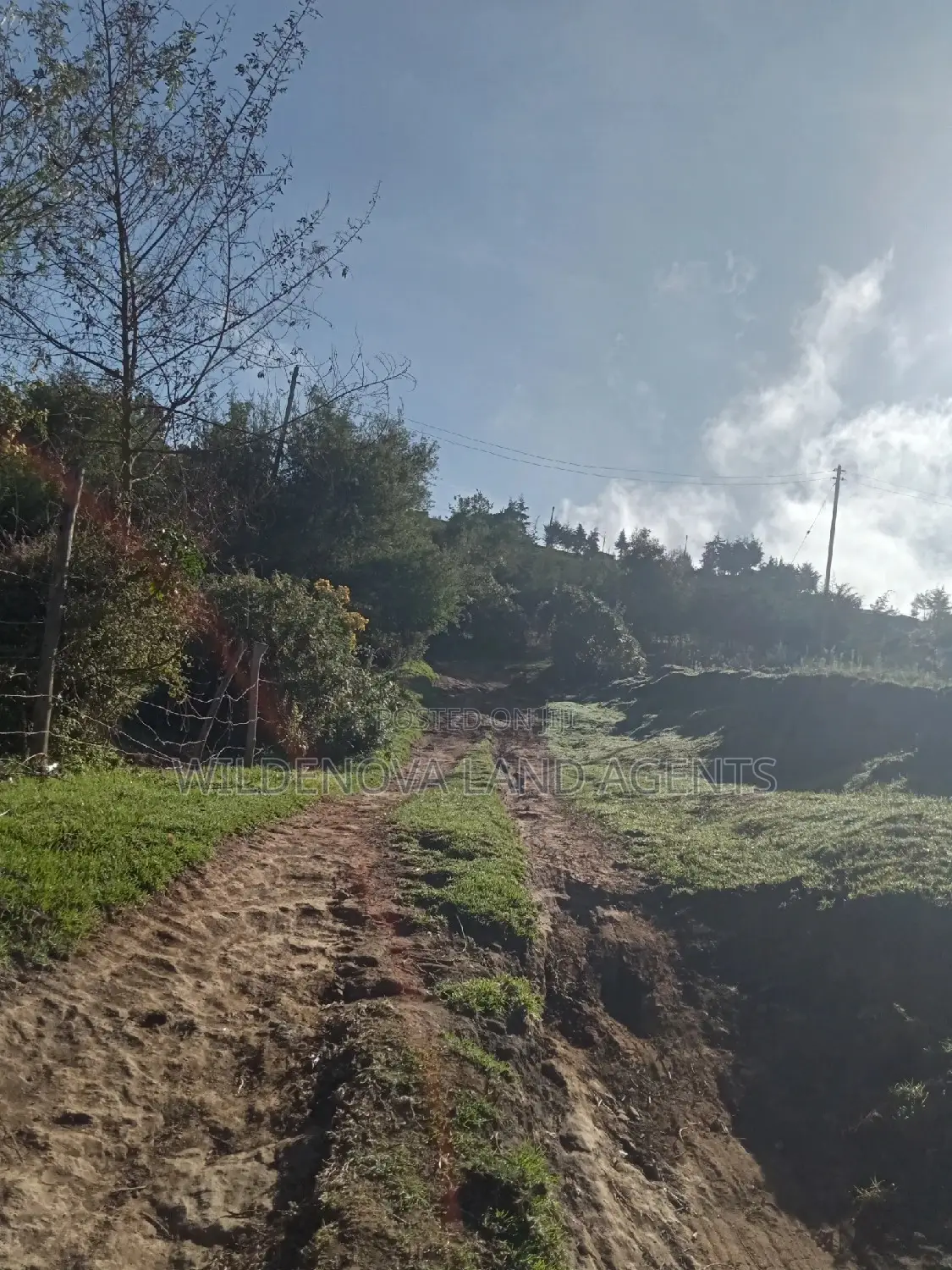 Plot on Sale at Naivasha Mwisho Wa Rami