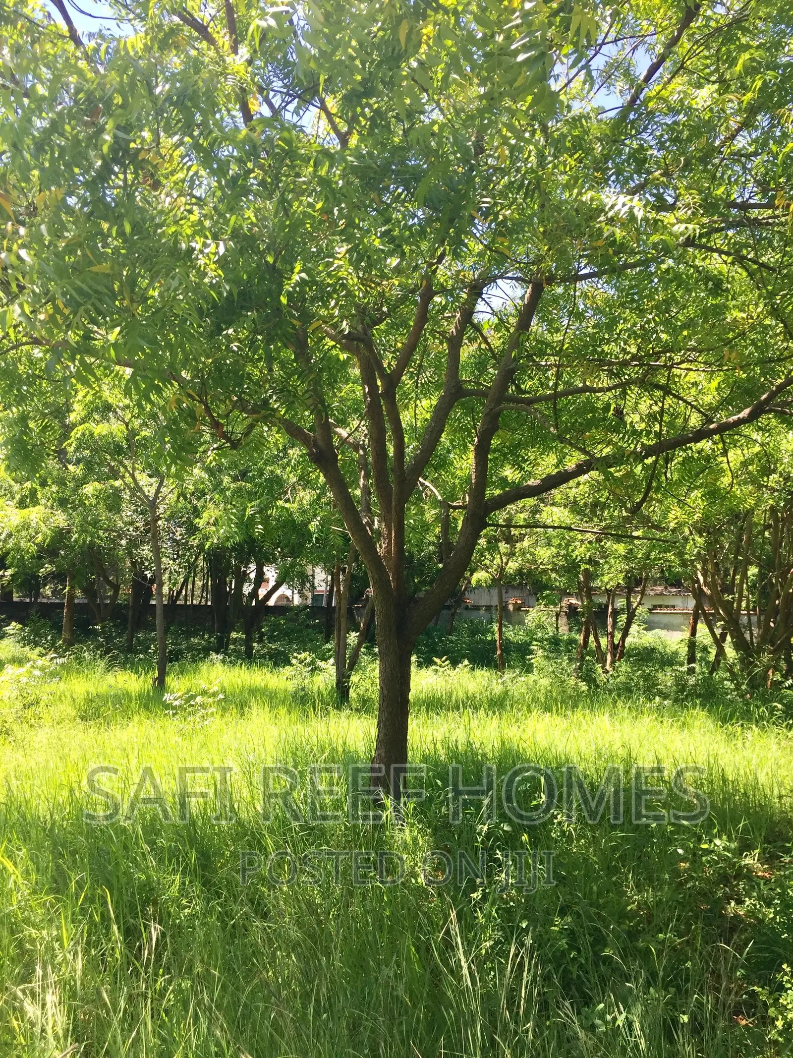 Prestigious Land for Sale in Nyali Greenwood