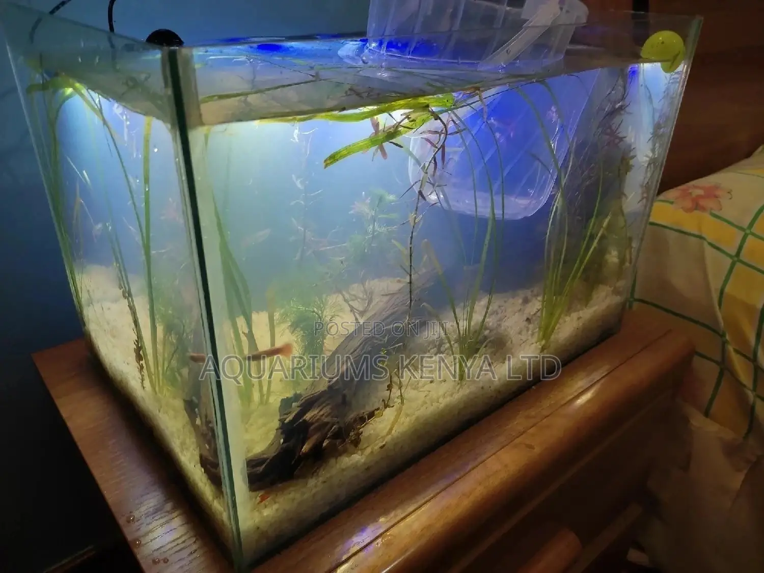 Nano Planted Aquariums