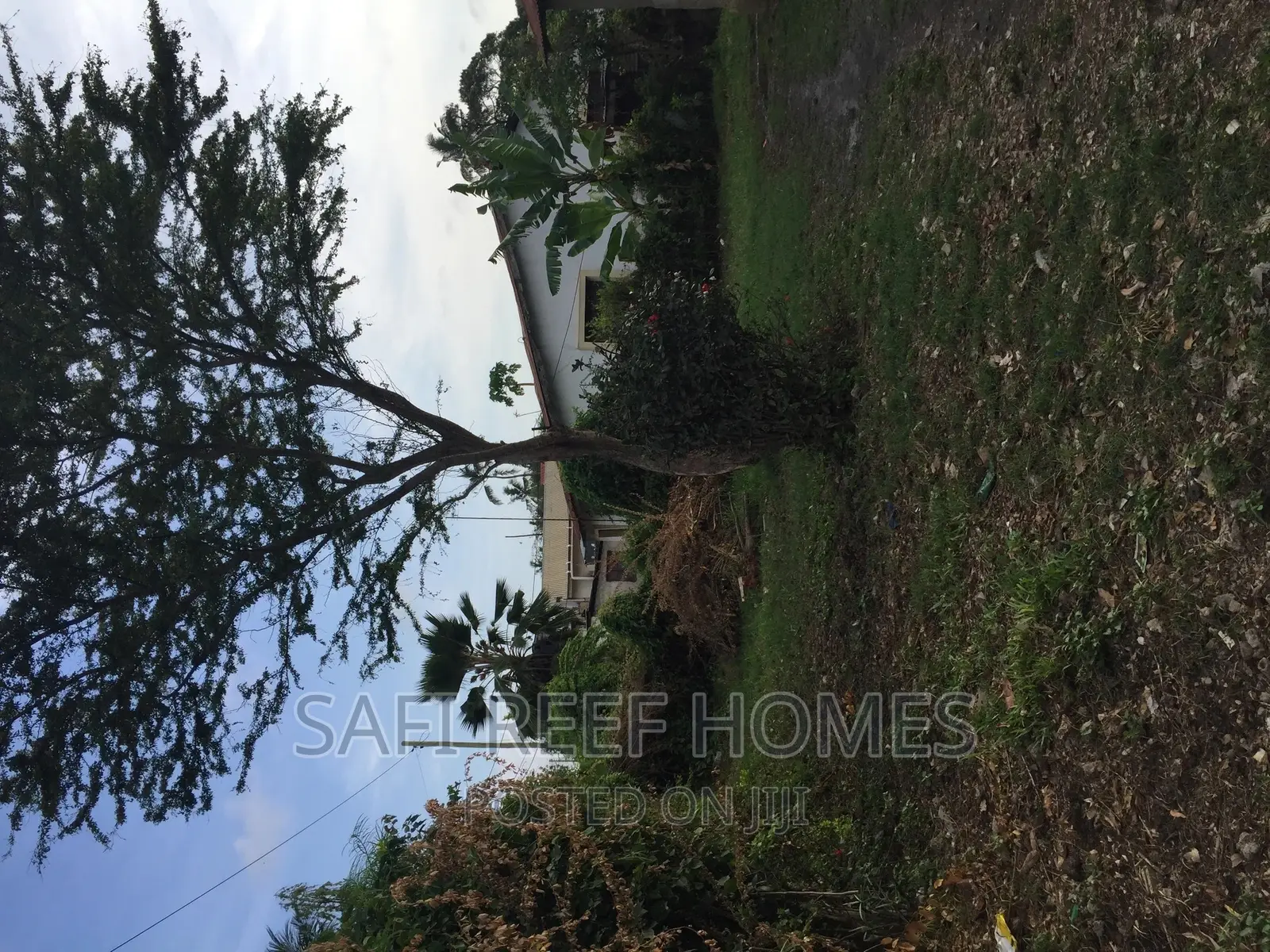 1/4 of an Acre for Sale Free Area