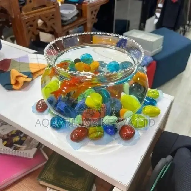 Special Fish Bowls , Beautiful to Be Kids Aquariums