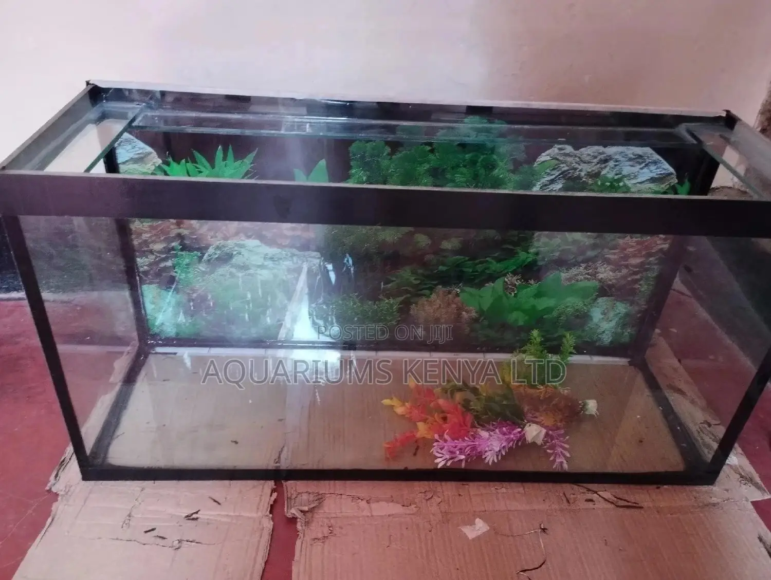 Fish Tank, Aquarium Fish Tank