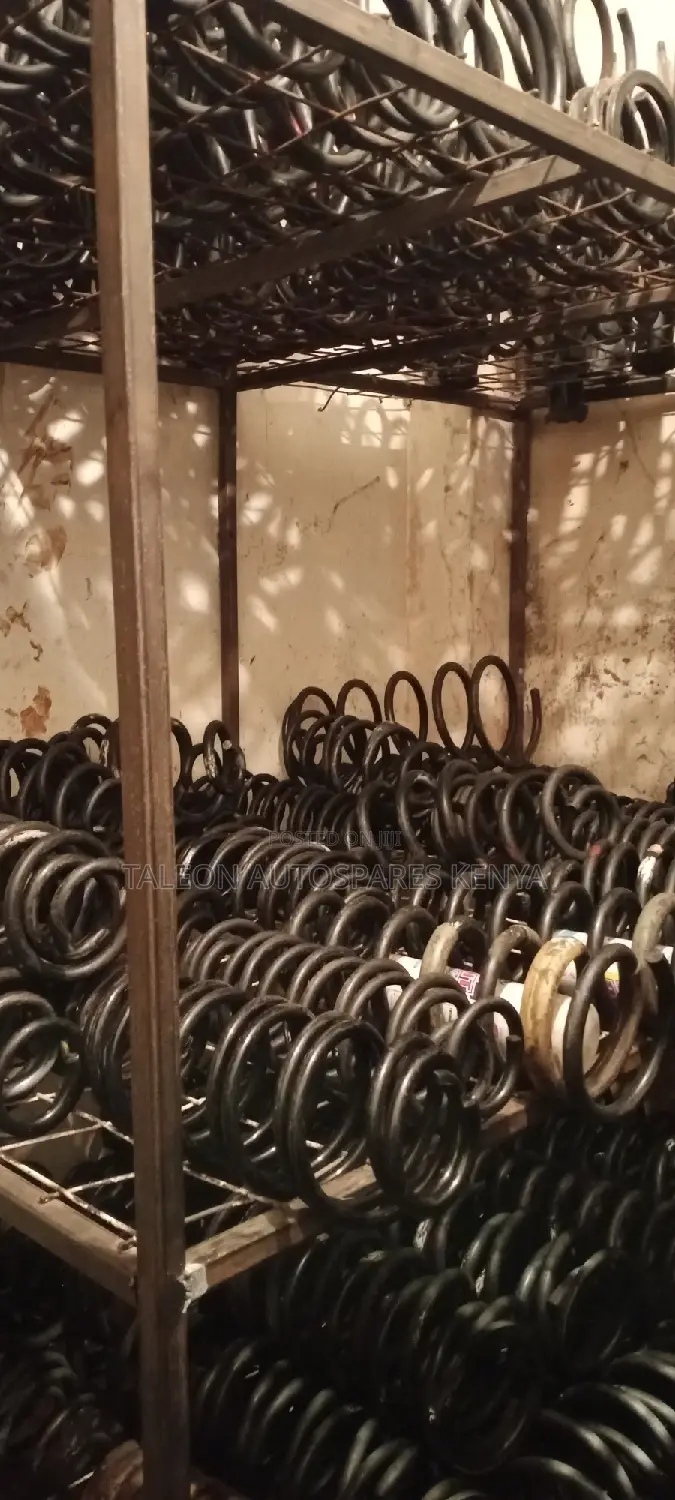 Vw Toureg Rear Shock and Springs