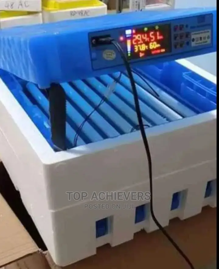 Best Automatic Egg Incubators