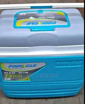 Most Affordable Cooler Box