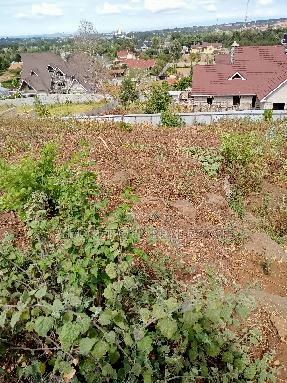 1/4 Plots Hillside Estate
