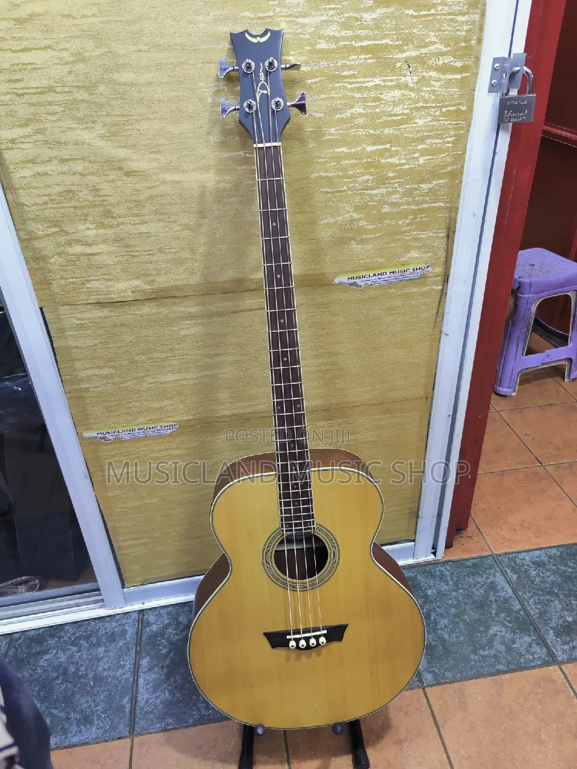 Acoustic Bass Guitar