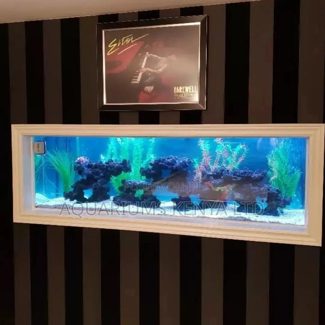 Office Walkin Wall Aquarium, Office Aquariums