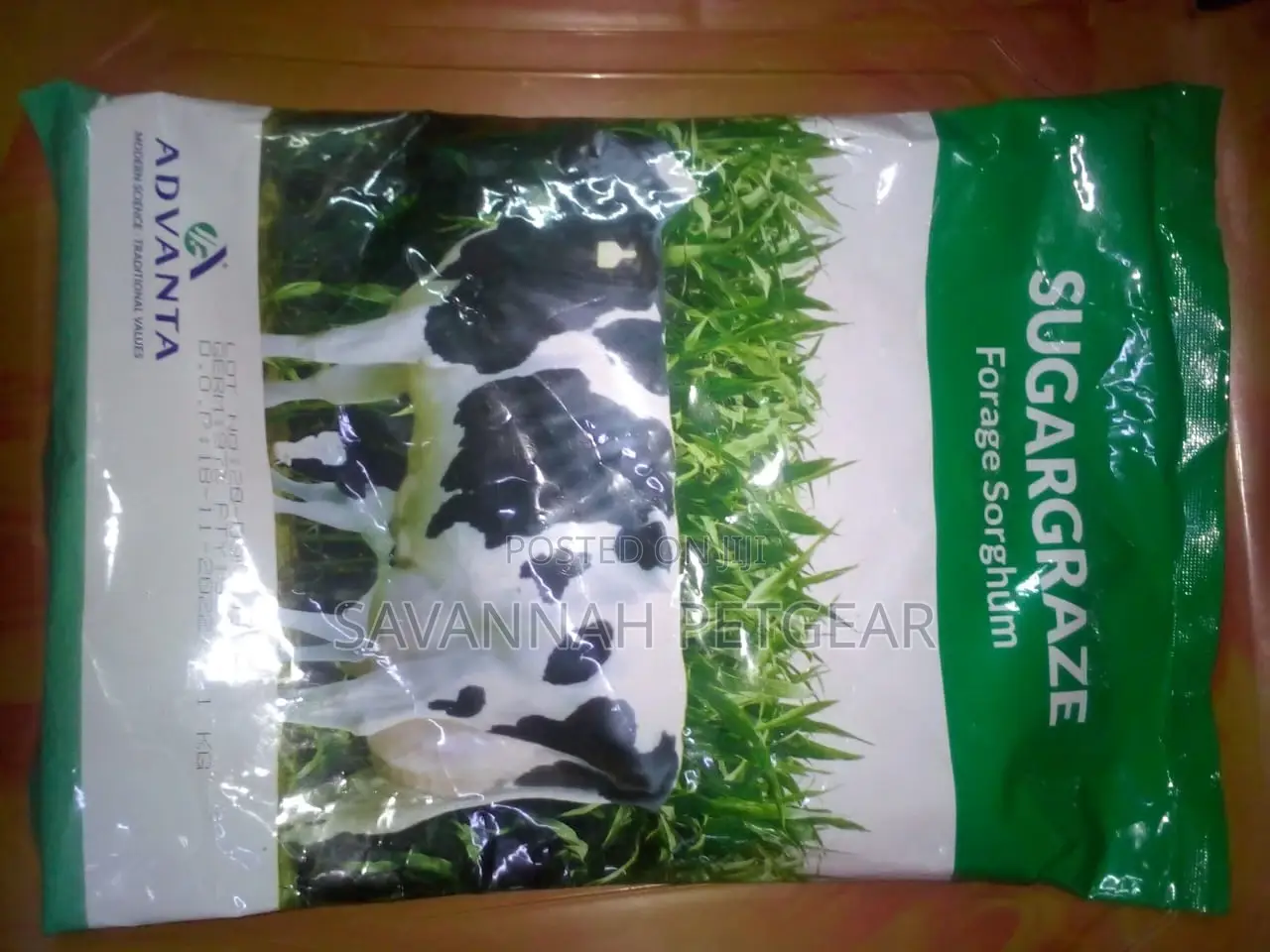 Sugargraze Forage Sorghum Seeds 2kg