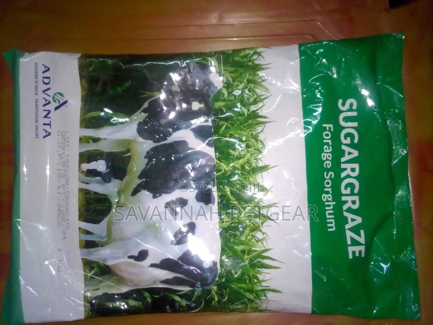 Sugargraze Forage Sorghum Seeds 2kg