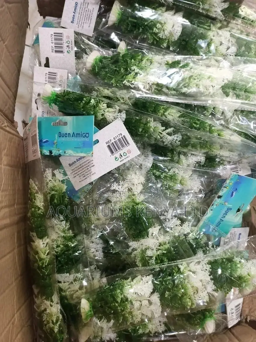 Mixed Colour Green and White Plants