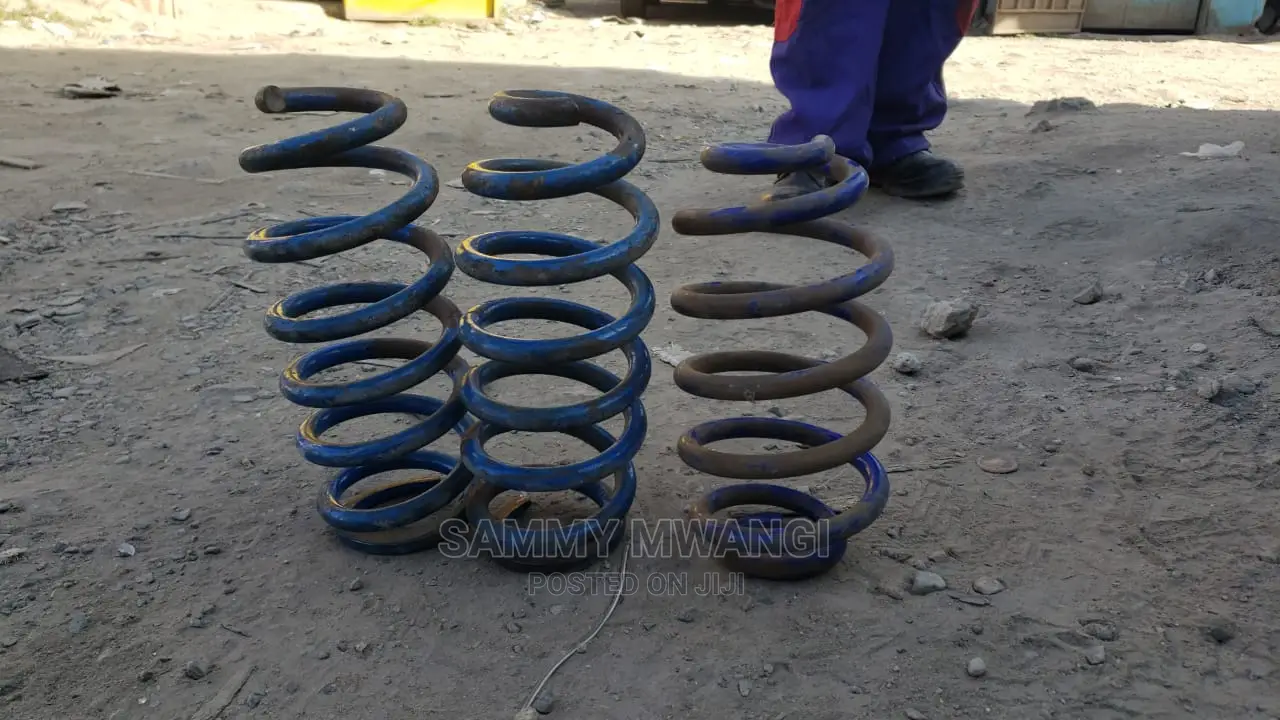 Toyota Probox Rear Springs