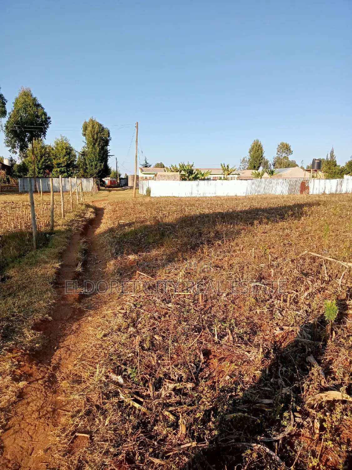 1/4 Plots Sinai Kimumu With Title