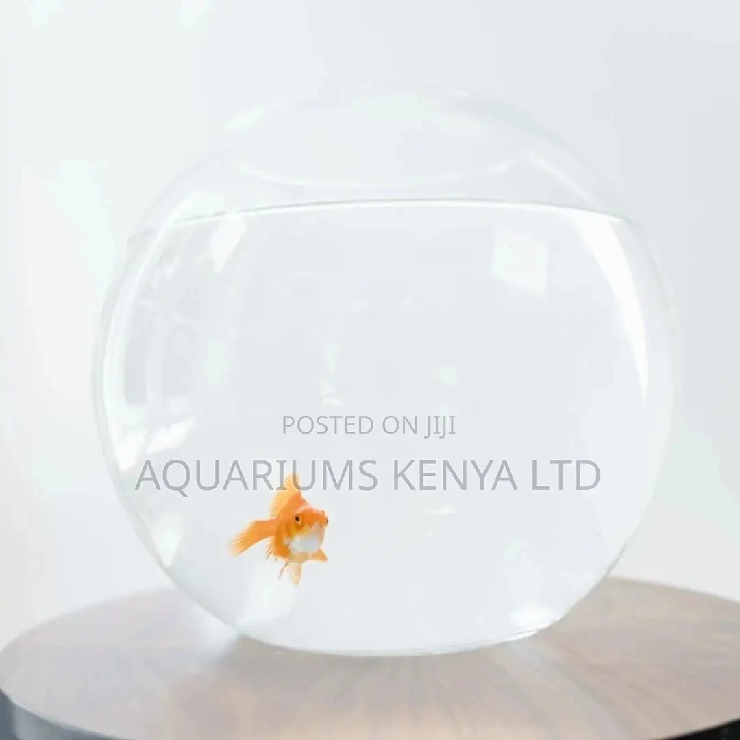 Glass Fish Bowls