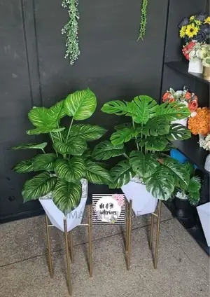 Artificial Plants