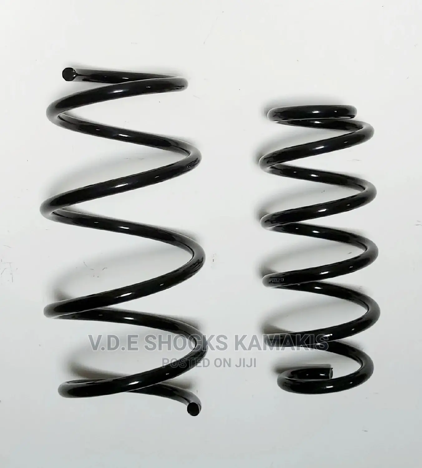 Toyota Vanguard Heavy-Duty Coil Springs