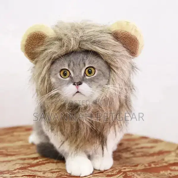 Lion Mane Cats Costume