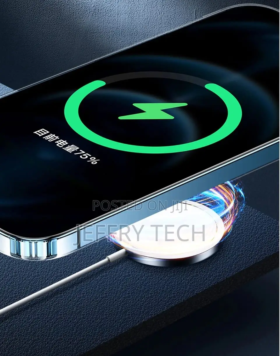 iPhone 13 Pro Magnetic Back Case Cover Magsafe Compatible C