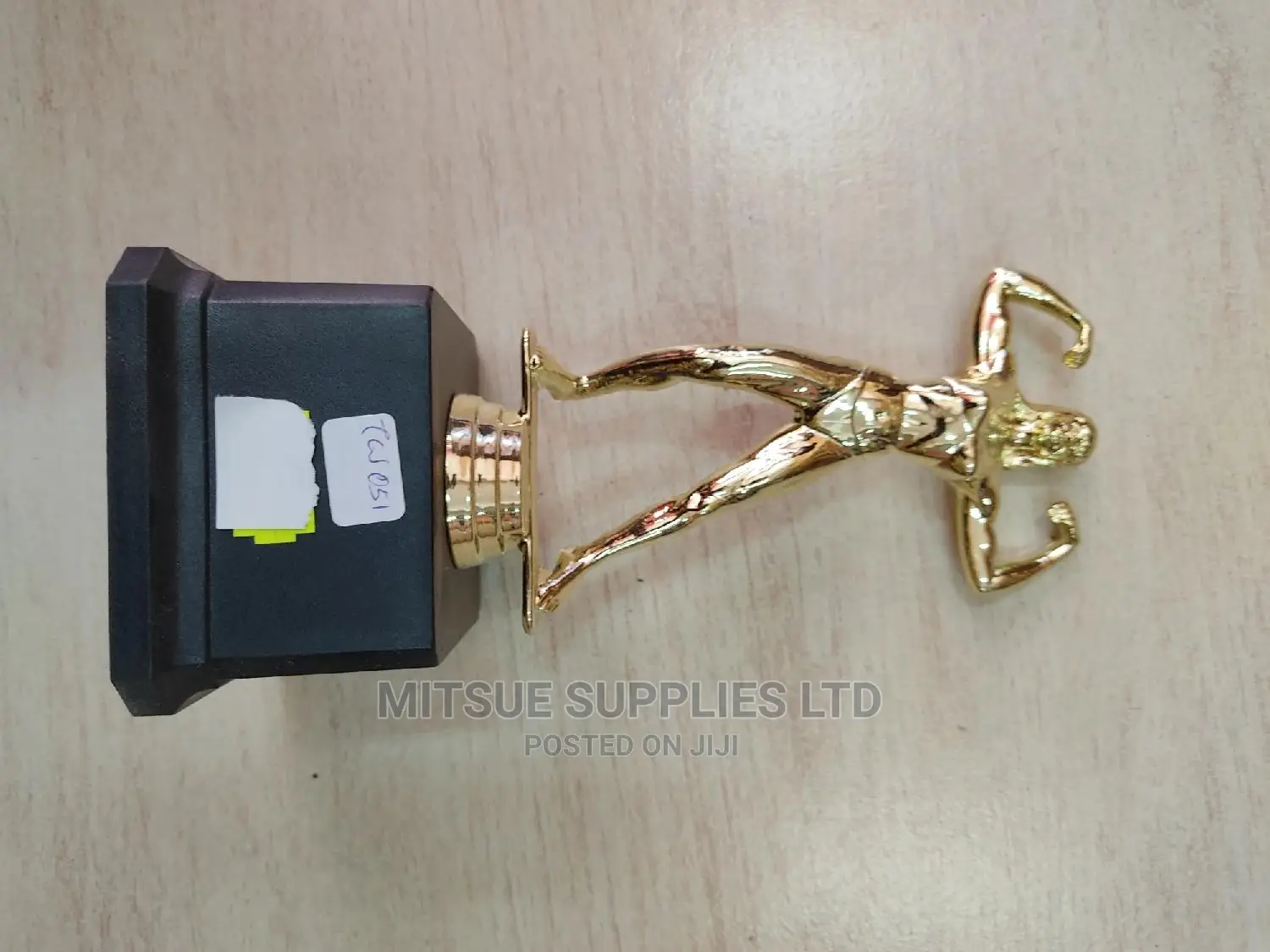 Female Body Building Trophy 11.3 Inches