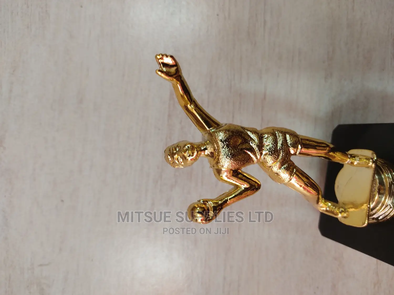 Shot Put Competition Trophy 6.5 Inches