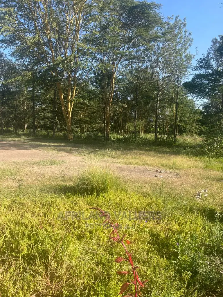 1/2 Acre Prime Plot for Sale at Karen