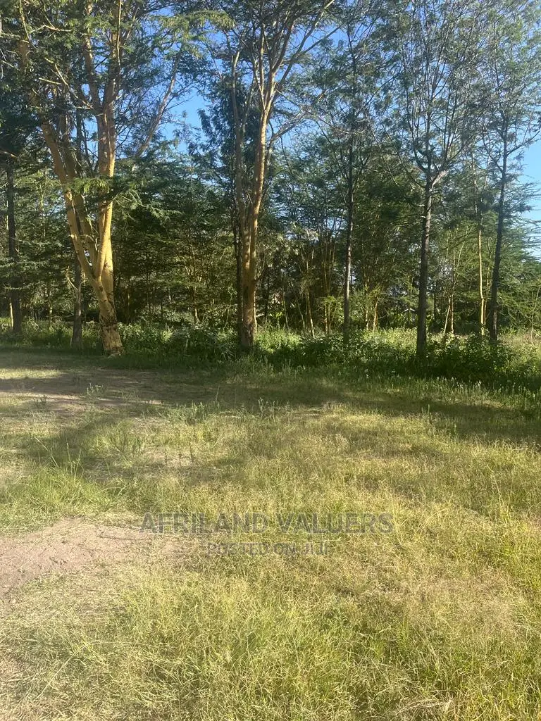 1/2 Acre Prime Plot for Sale at Karen