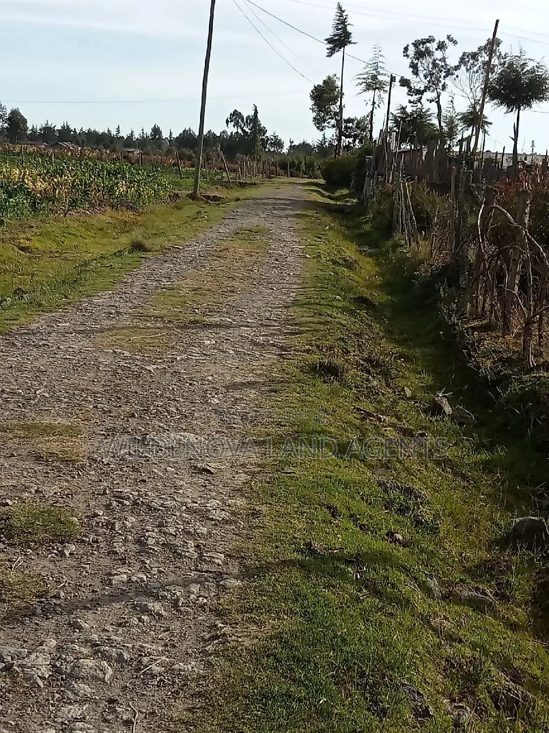 Land on Sale at Flyover Kinangop