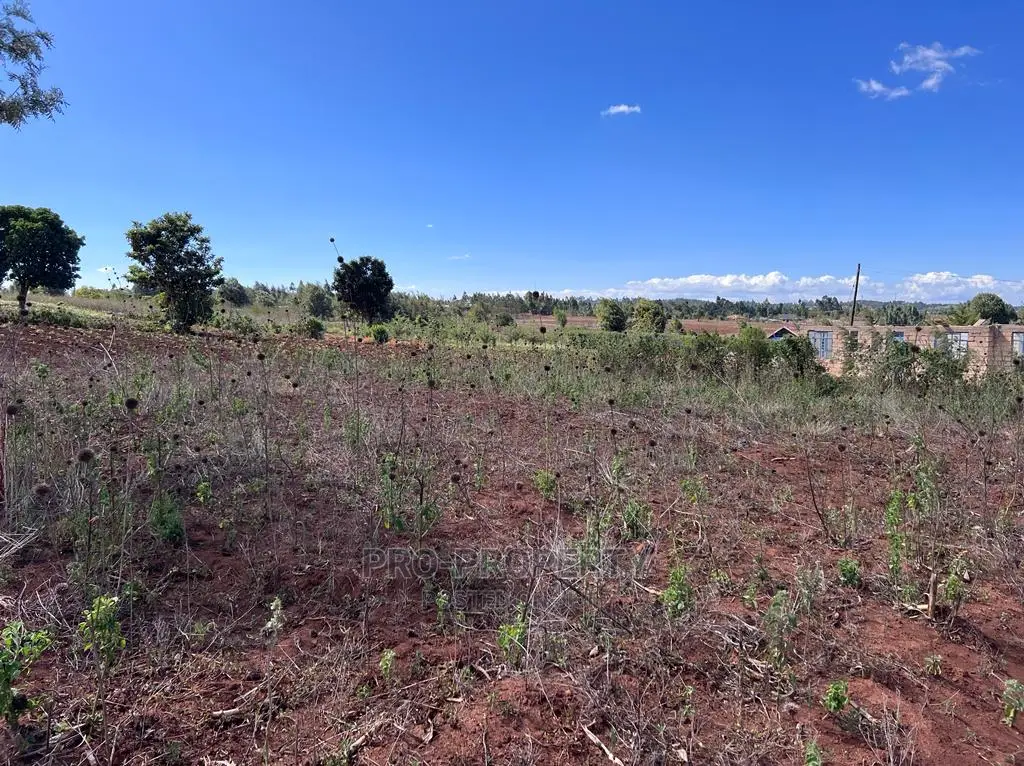 Prime 50 By 100fts Residential Plot In Kikuyu, Kamangu.