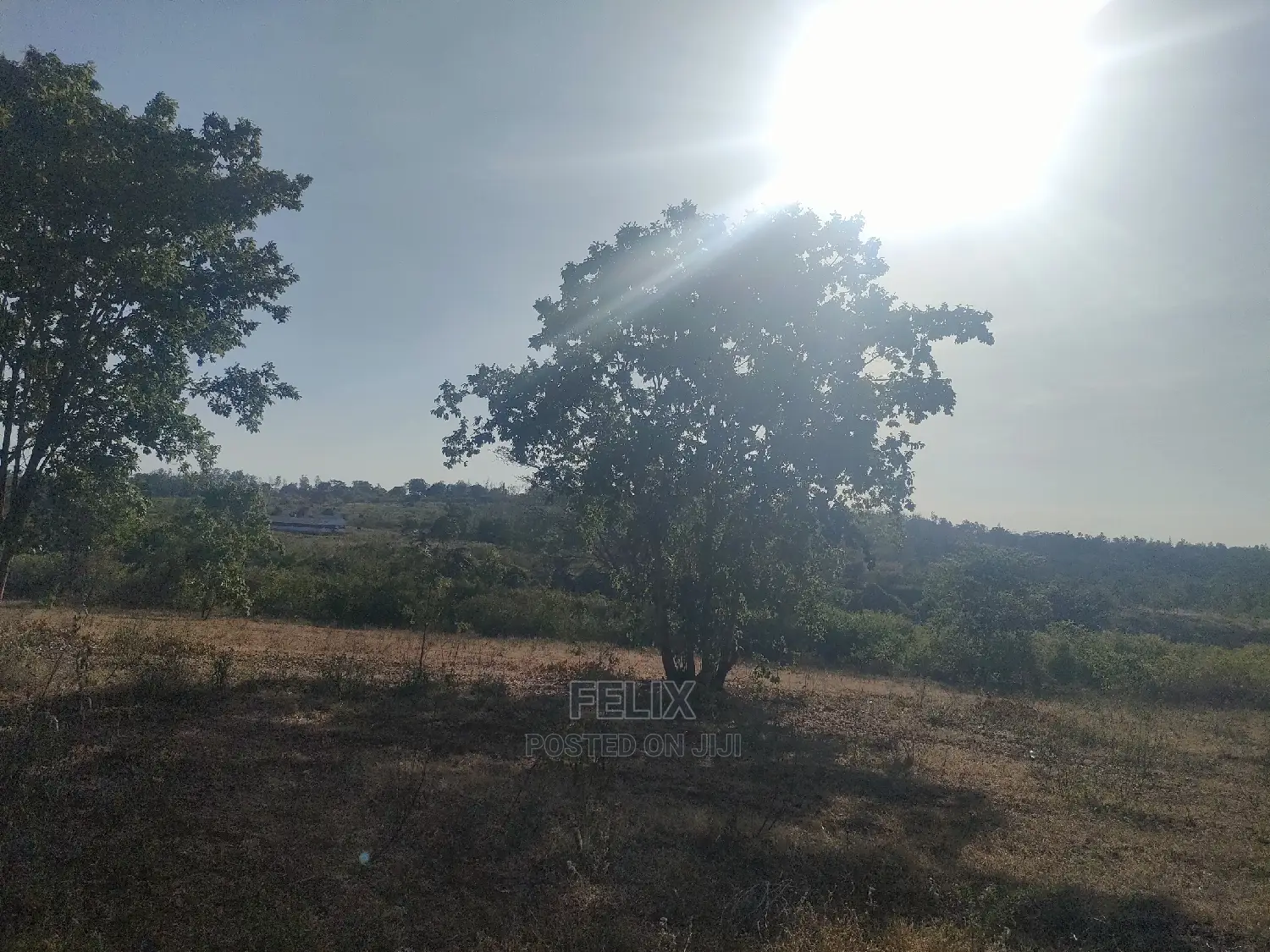 1 Acre Sagana/ Makutano Highway Riandila