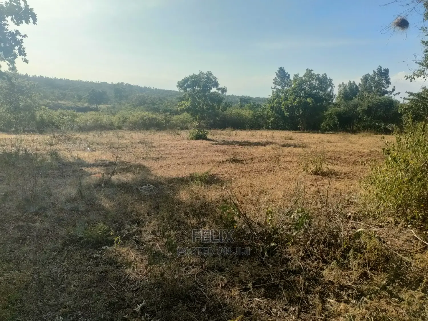 1 Acre Sagana/ Makutano Highway Riandila
