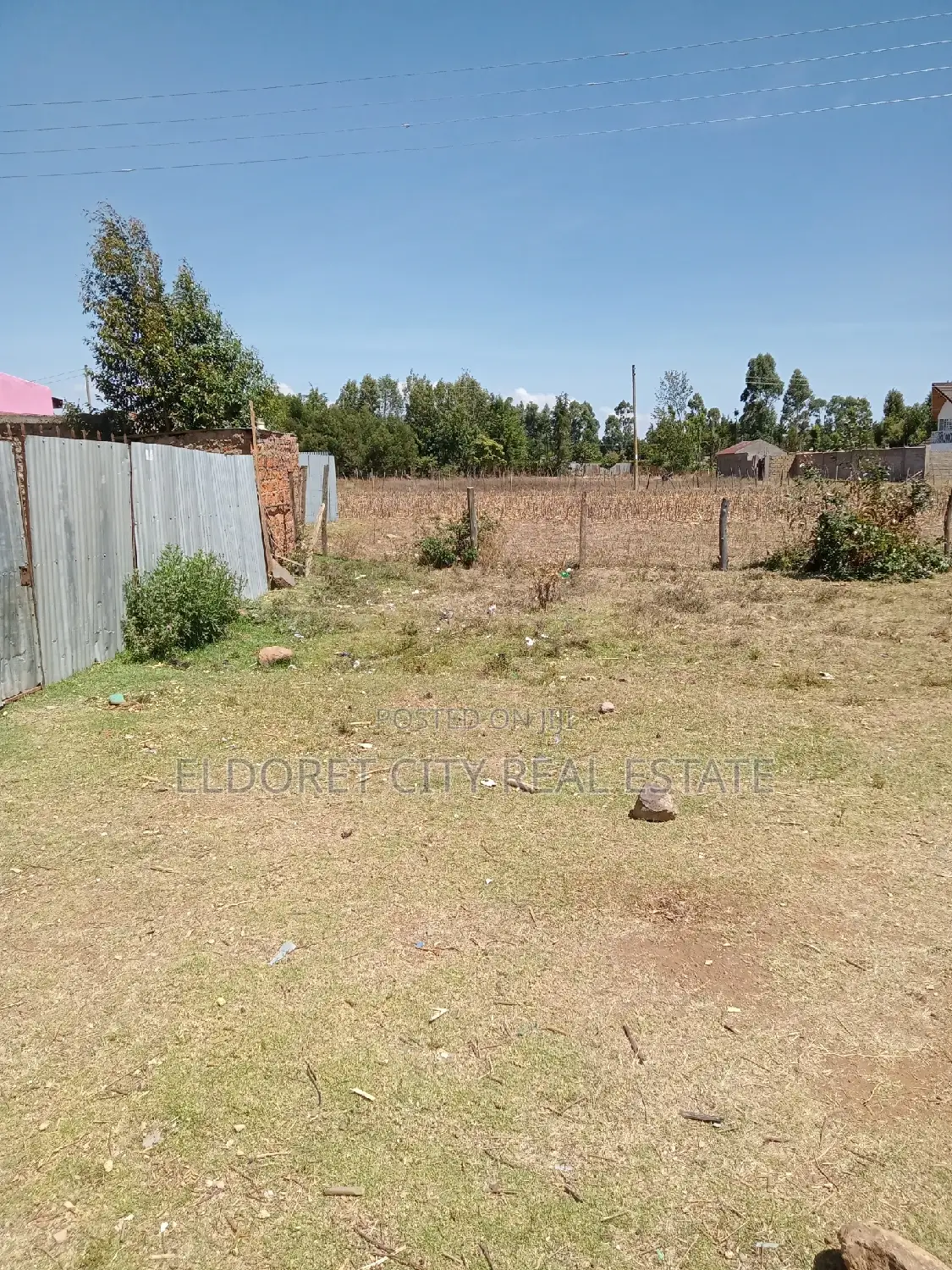 1/8 Plot Mti Moja With Title