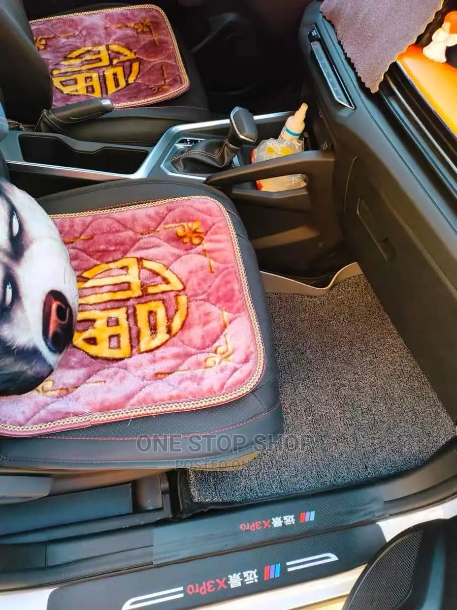 Car Fitted With Grey PVC Coil Mats (Roll 310*60cm)