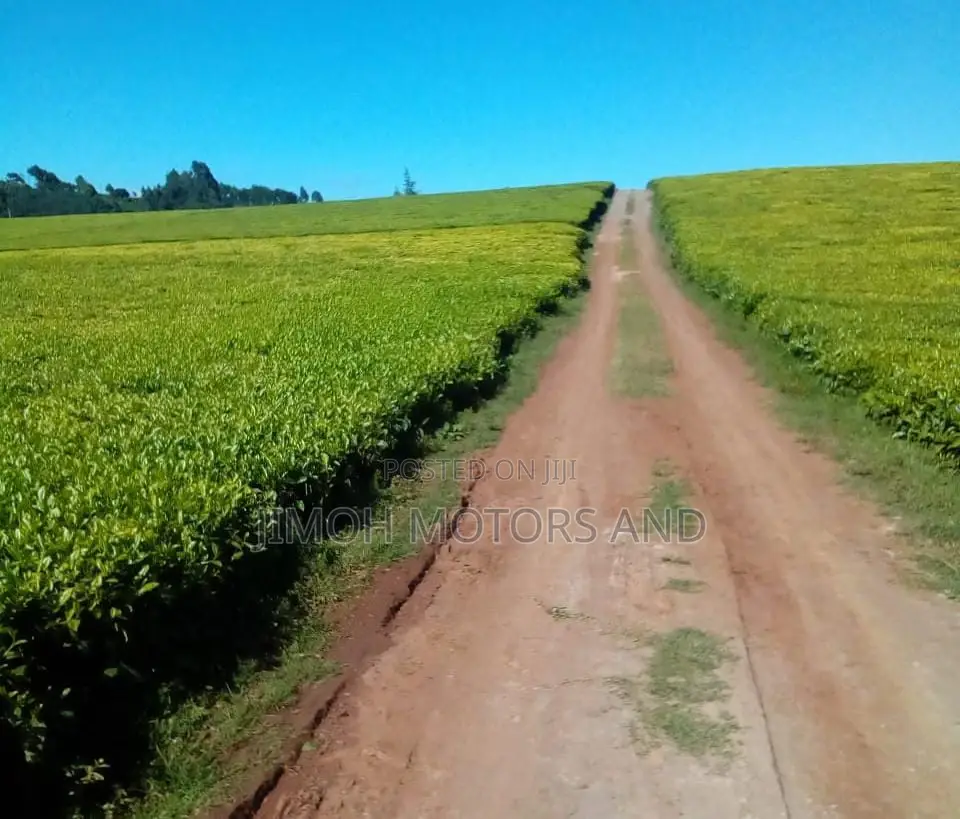 Land for Sale in Limuru