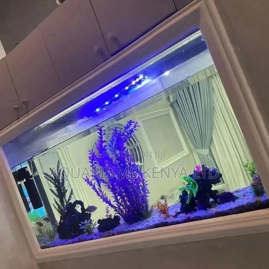Double View Aquarium , Room Separater Aquarium