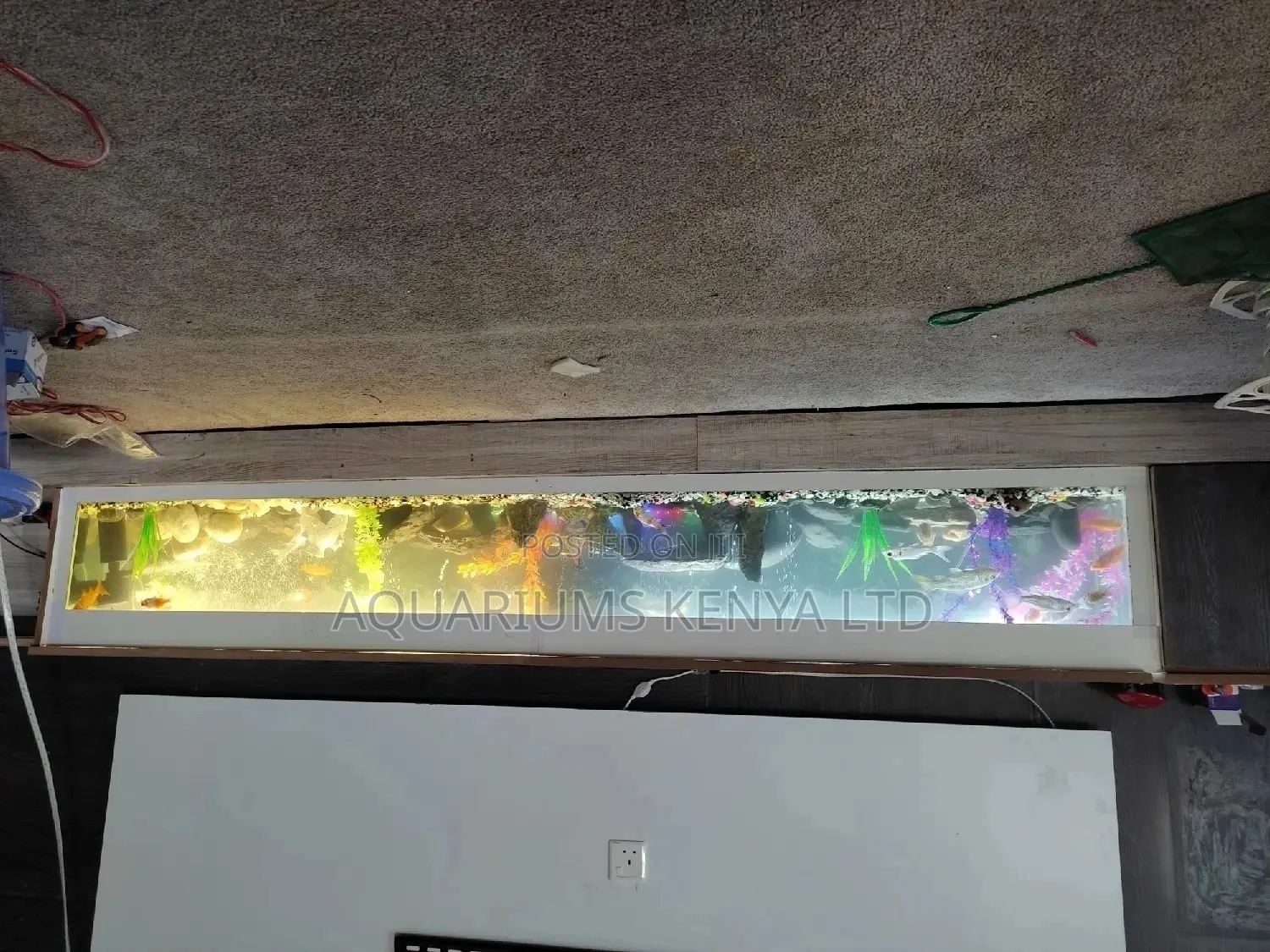 6ft Under Tv Aquarium