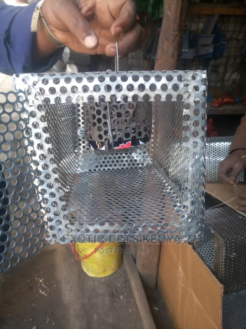 Mouse/Rat Traps