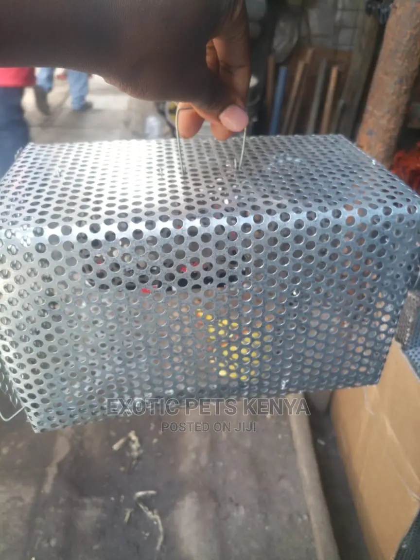 Mouse/Rat Traps