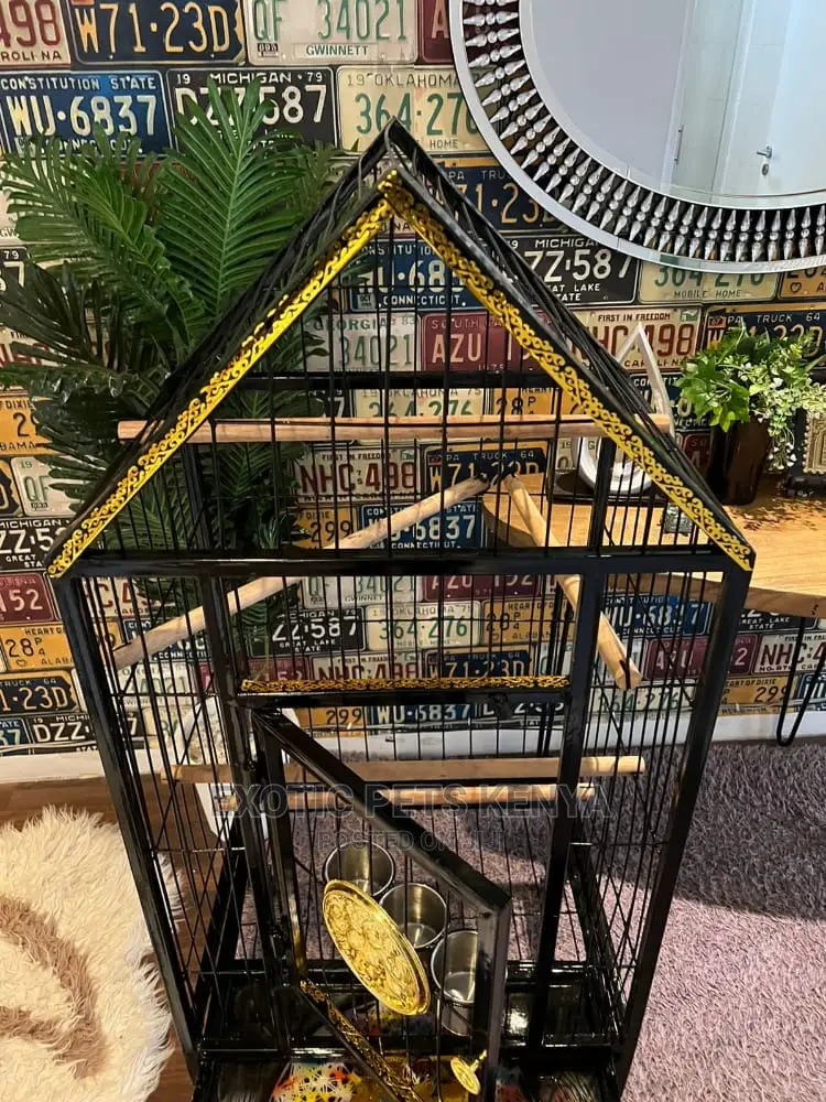 Custom African Grey Cages