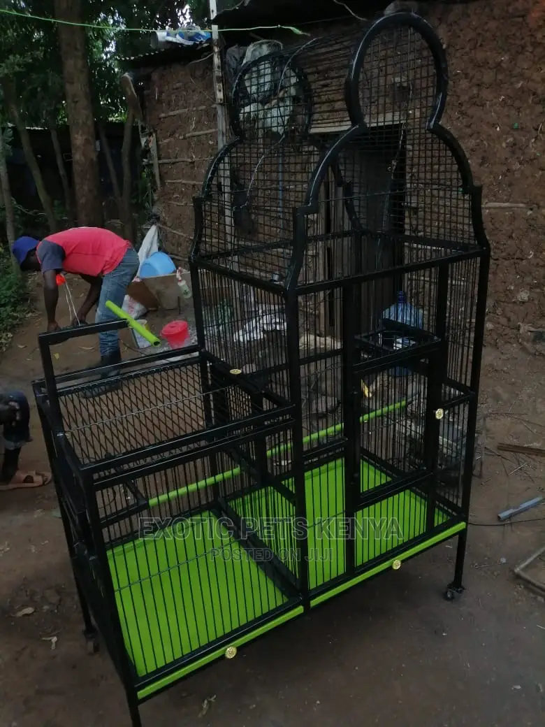 Custom African Grey Cages