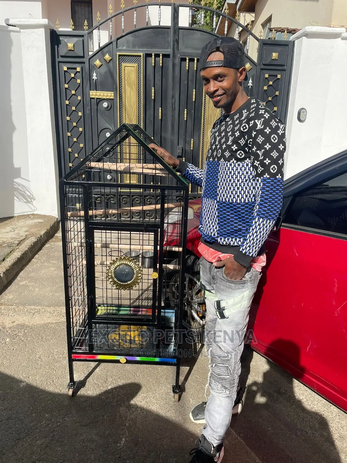 Custom African Grey Cages