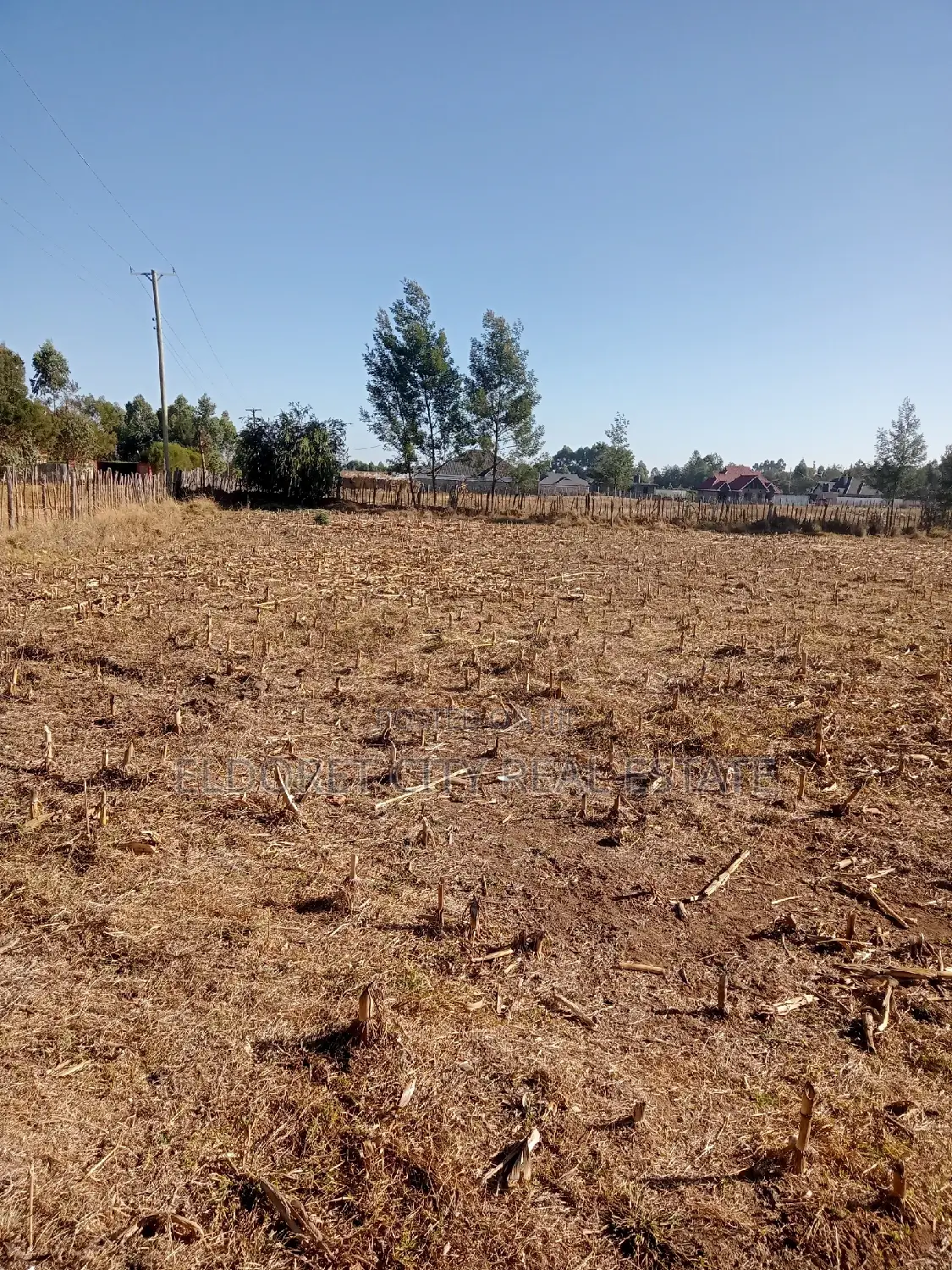 1/8 Plots Ilula Ideal for Residential