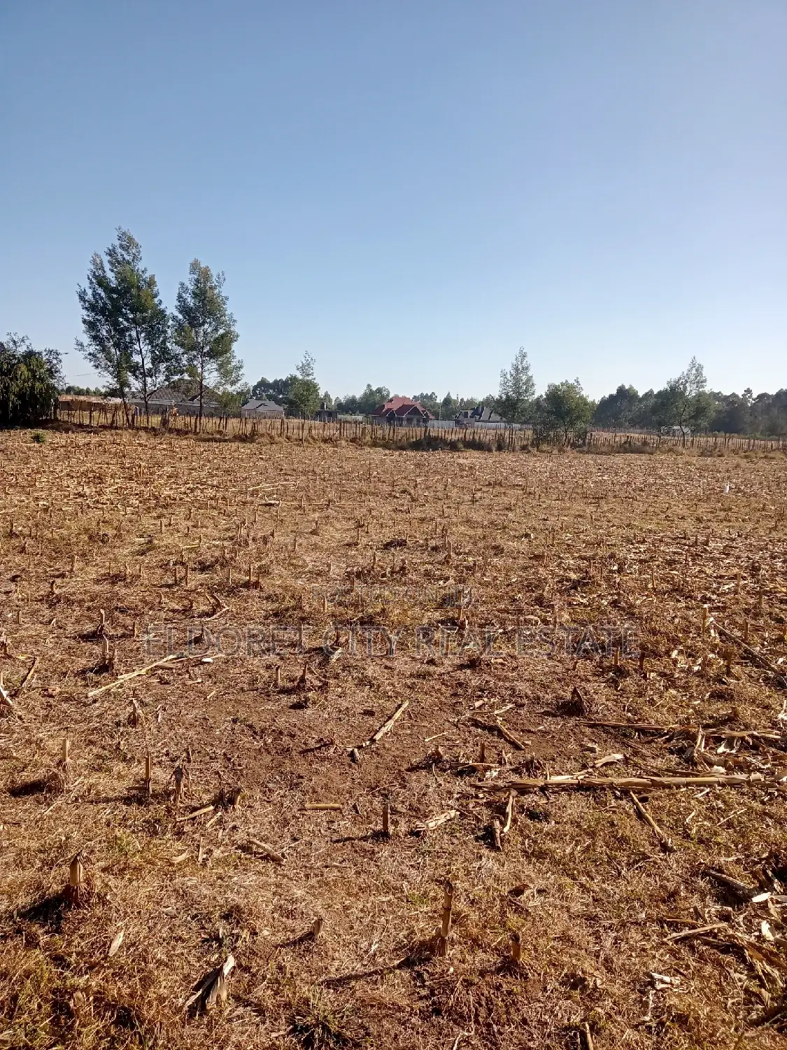1/8 Plots Ilula Ideal for Residential