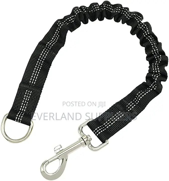 Elastic Leash