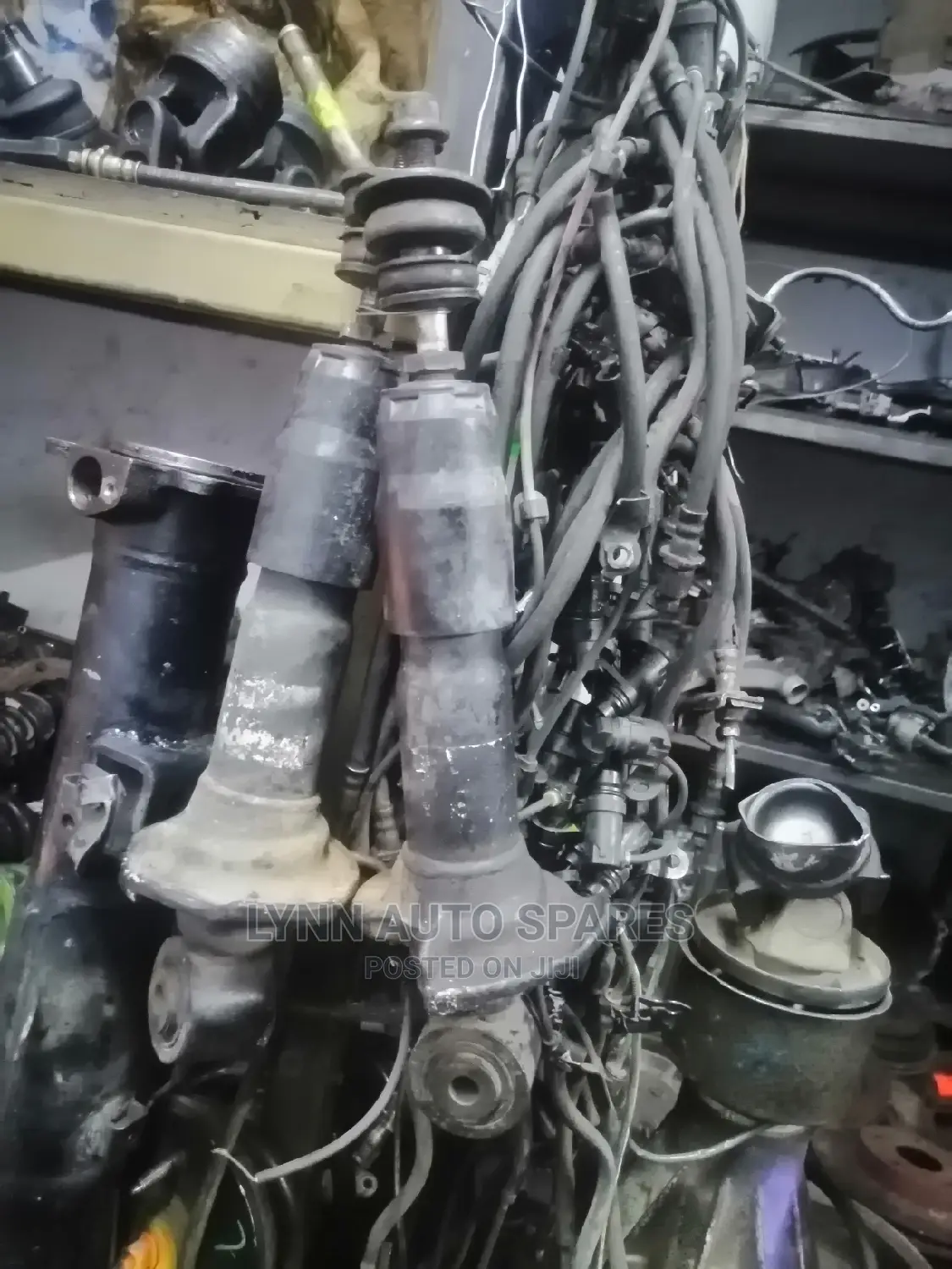 Dyna Shocks