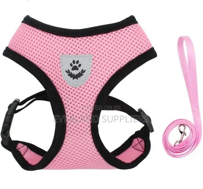 Dog/Cat Harness and Leash- Medium