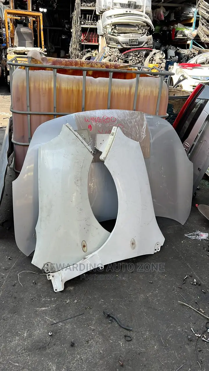 Y12 Wingroad Wings(Fenders).