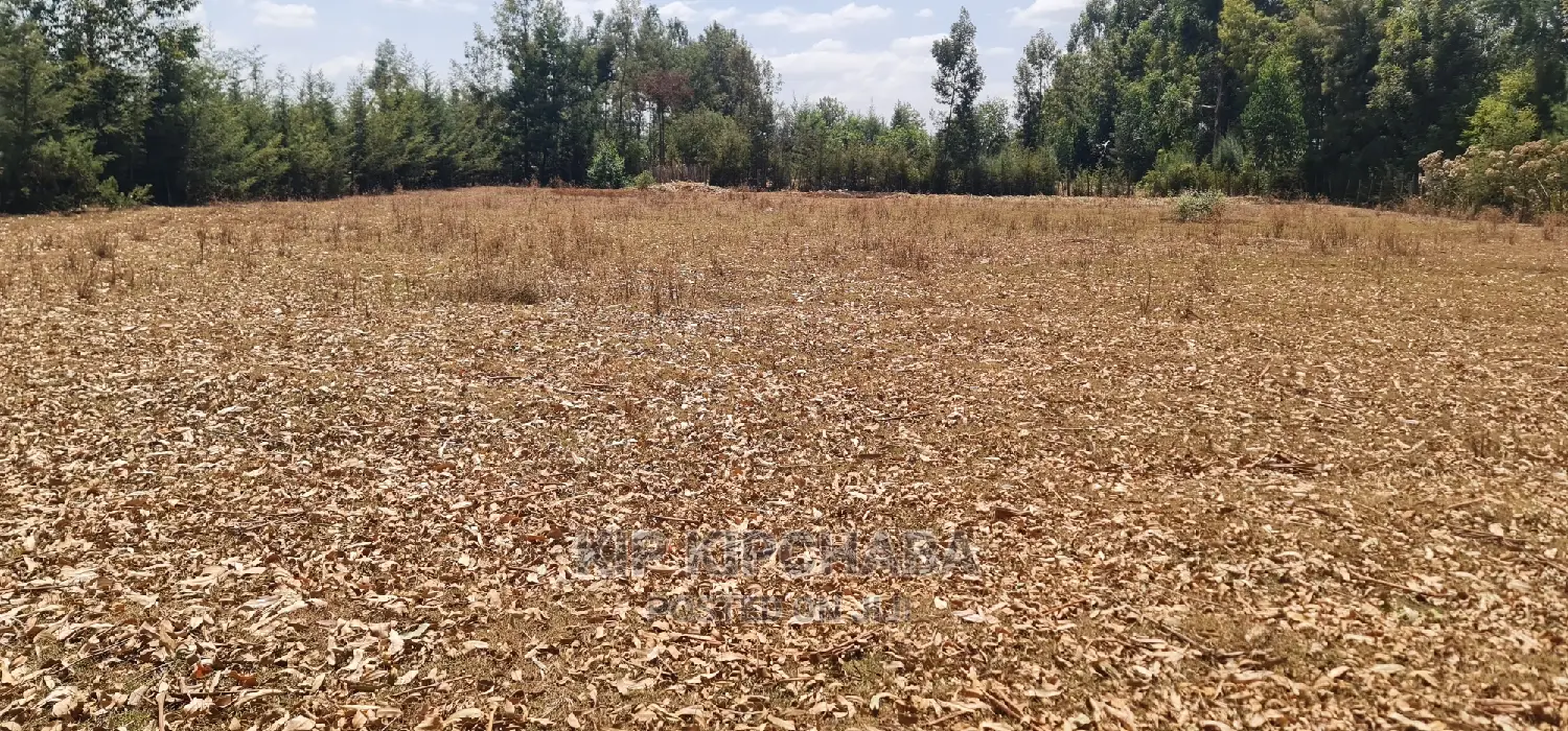 Cheap 1⁄4 Plot for Sale in Annex Royalton in Eldoret